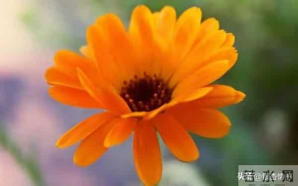 2026星座财富榜：三大黑马崛起，财运翻盘就看今年！