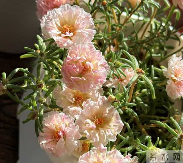 人生最稳的靠山：不是父母，不是伴侣，而是独立的自己