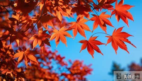 退休清华教授十条人生忠告:70岁后,一定要守住自己的幸福底线