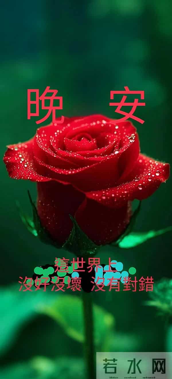 让晚风拂去烦忧，让星光伴你入梦，晚安