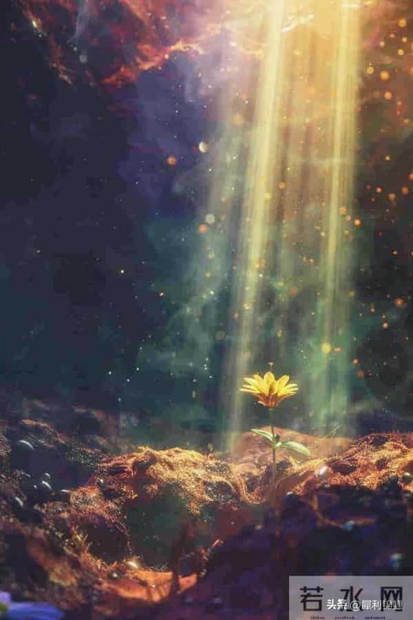 60岁后，别让自己活的太累，每天的任务就简单四个字：吃喝玩乐！