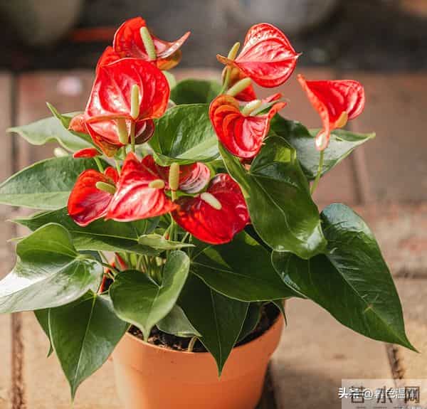 看一个女人有没有福报，不是看脸，而是看她身上有没有这五个特征