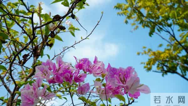 任何一个男性到了六十五岁后，还有对异性的爱慕和追求，就不会老