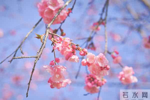 订婚前,小姨让我把彩礼首饰给我妈保管,说婆家靠不住,我妈默认