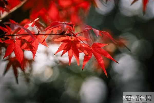 我同居过3位女性，发现女性45岁后找伴侣主要有3个动因