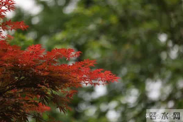 两性交往，刺激女人荷尔蒙的6个“心”开关，让她彻底为你折服！