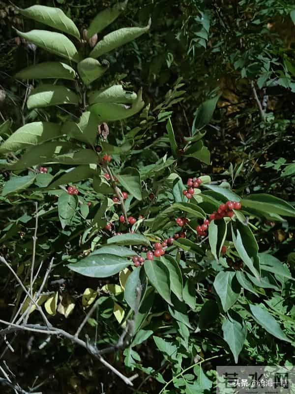 人有钱了，要无情的与身边人断交，但不要绝情！