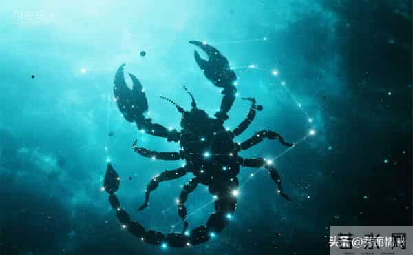 天蝎座:12月中旬请回头,请回头,请回头,重要的事情说三遍!