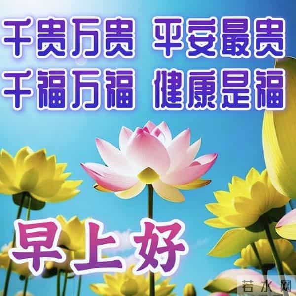 2025.12.11早安问候漂亮图片祝福美图