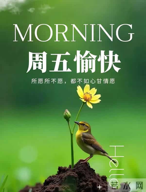 2025年12月12日周五早安 早上好图片最新今天 温馨淡雅的早安图片