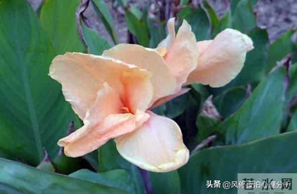 人到中年，和枕边人的关系相处：别走得太近！有好处