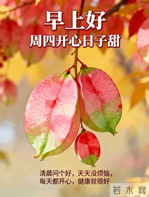 2025年12月11日周四早上好 早上好温馨问候语 今日早安祝福精美图片