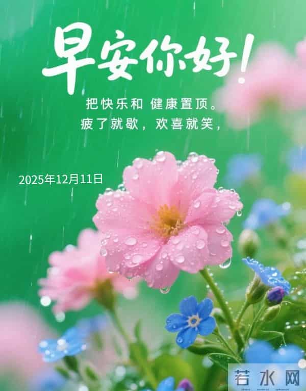 2025年12月11日早上好 早安周四愉快 早安精美美图温馨祝福语 早上好