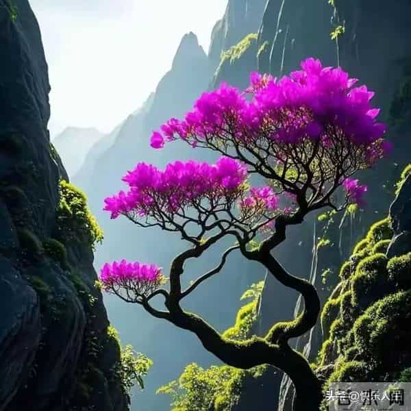 60岁女人让你碰，不是，你别傻了，那不是将就，那是交给你半条命