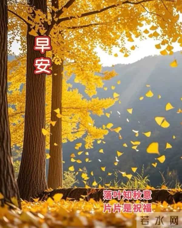 12月12早安祝福图片。美好的清晨祝愿大家开心快乐健康平安