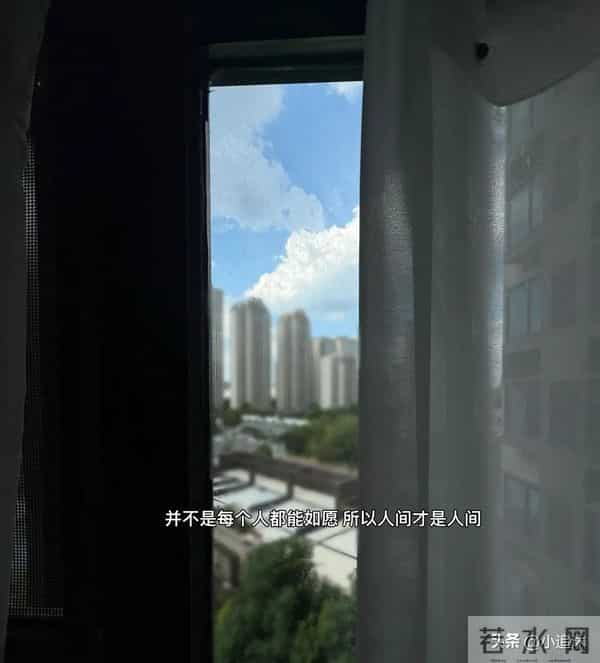 朋友圈文案 - 阳光好的时候，感觉可以活很久。