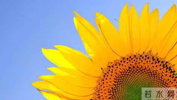 当你感到不顺时，一定要主动丢掉这三样东西