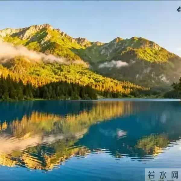 发现怪现象：越是独来独往没有朋友不合群的人，人品往往越没问题