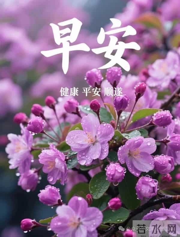 早安美图分享：愿你好运常在，所遇之事皆可化解