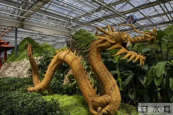 给属龙朋友提个醒：12月12日是个坎，糊涂过去吃亏，清醒过来是福