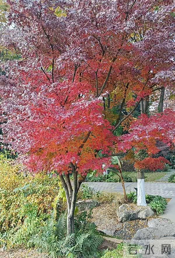 夫妻俩发生激烈争吵，妻子生气跑回娘家，岳父一通电话让男子懵了