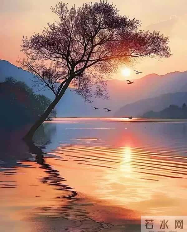 句句渡己，句句入心：15句一切看淡，万般随缘，以欢喜之心度流年