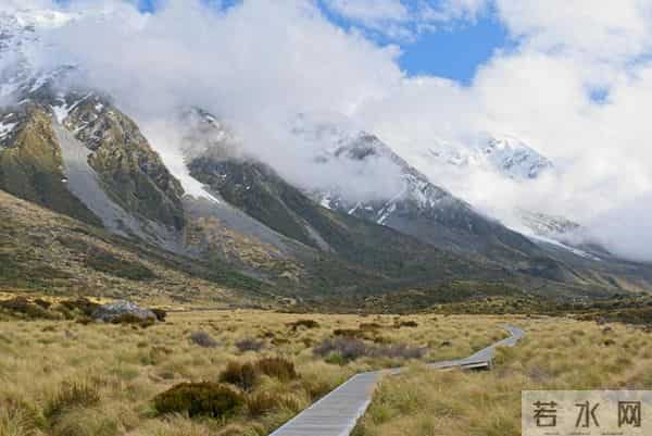 老了以后，一个人怎么办？答案来了