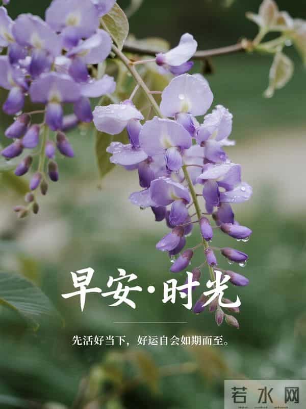 22句清晨暖心祝福，岁月温柔，安康常伴，愿你日日欢喜岁岁无忧
