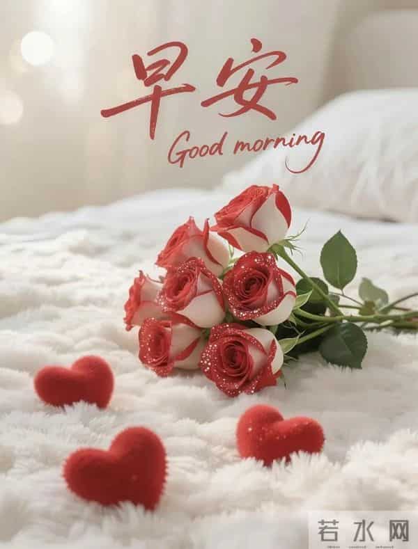 2025年12月11日周四早安 早上好图片最新今天 温馨淡雅的早安图片