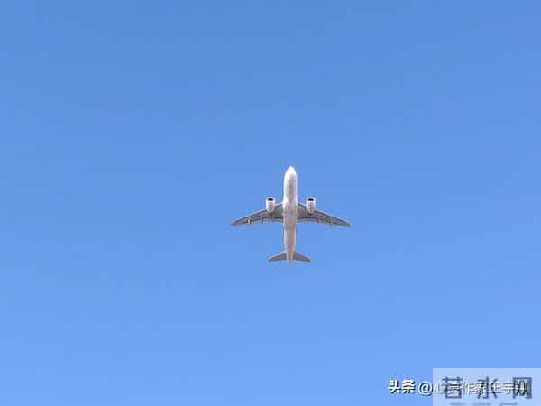 心向暖阳皆繁花，眼有光芒皆坦途，向阳而行绽精彩