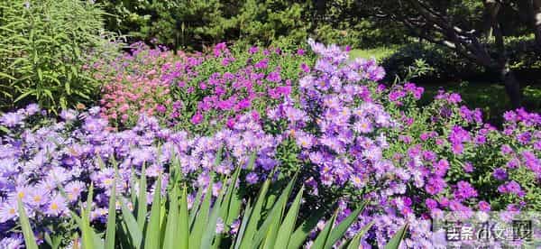 人老莫贪，过了六十，能混到这几点，就算有福之人，该知足了