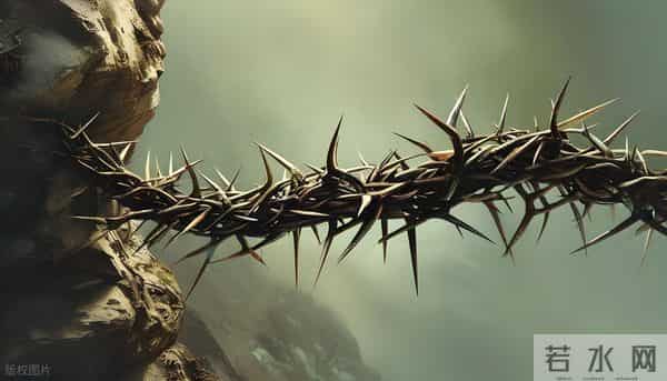 灵性很高，自带隐形光环的星座：步步穿篱入静幽，自有清风对碧流