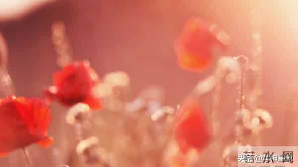 12月12日至12月21日，白羊座，即将发生！