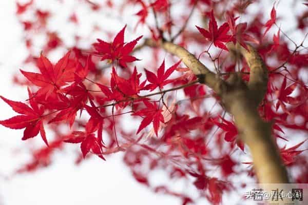 我同居过3位女性，发现女性45岁后找伴侣主要有3个动因