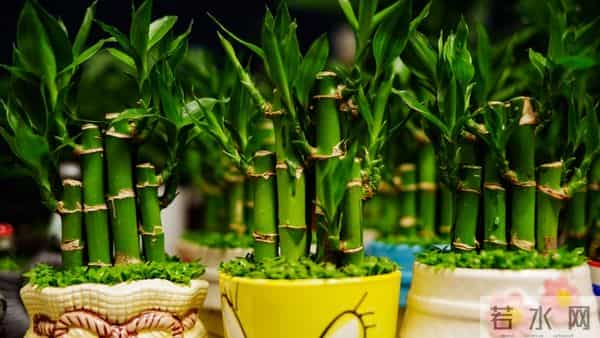 当遇见心头蜜糖宝贝，大声勇敢说爱，不负卿来不负己，让人间值得