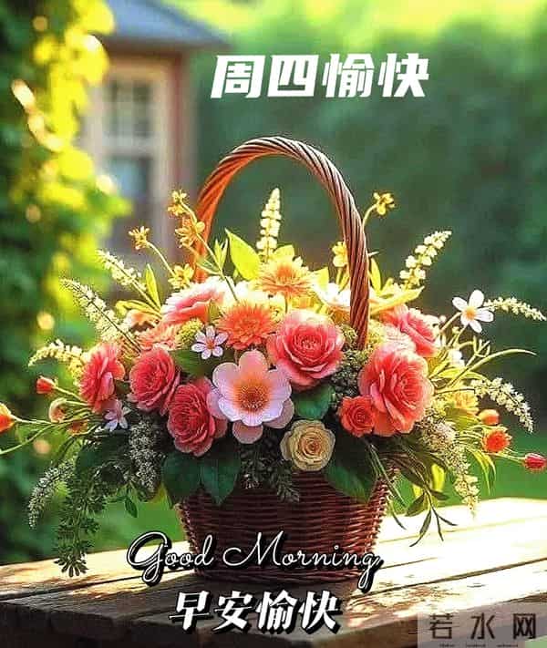 2025年12月11日早上好 早安周四愉快 早安精美美图温馨祝福语 早上好