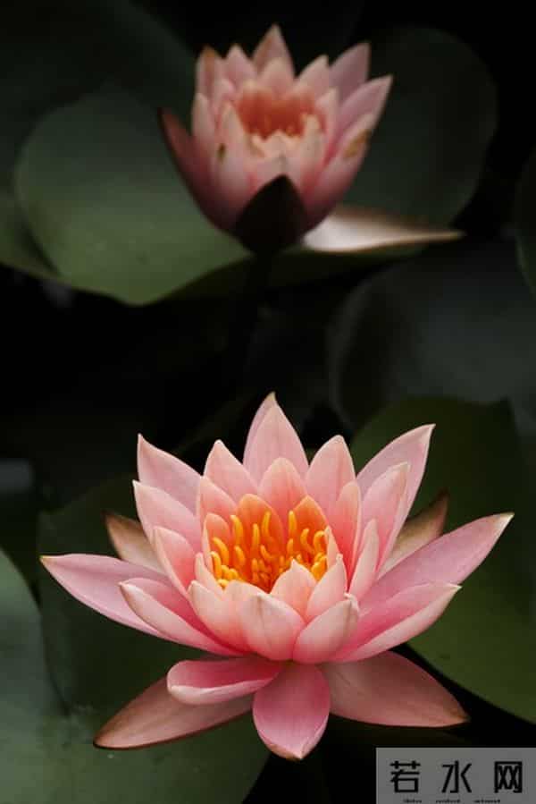 这样联系你的人，八成是想你了