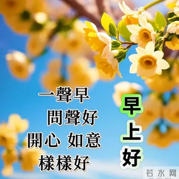 开心简短的早安佳句,高质量暖心问候,清晨又来到,向你问声好