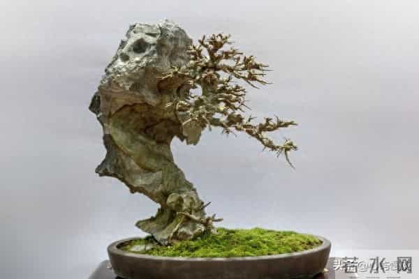 善意提醒-“意淫”也能把一个人活活“害死”