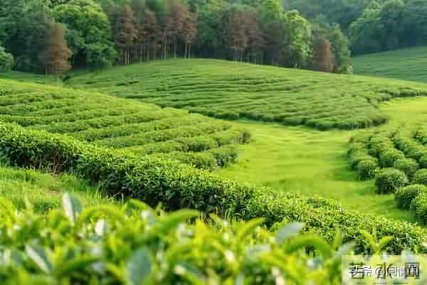 2026年四大星座要爆发,第一名要翻身赚到手软