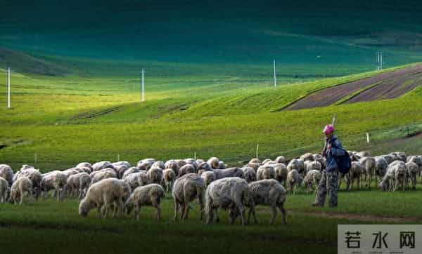 八十年代的婚姻（八）