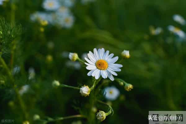 一群人攻击打压一个人，是一群恶人坏人在清除环境里的好和善