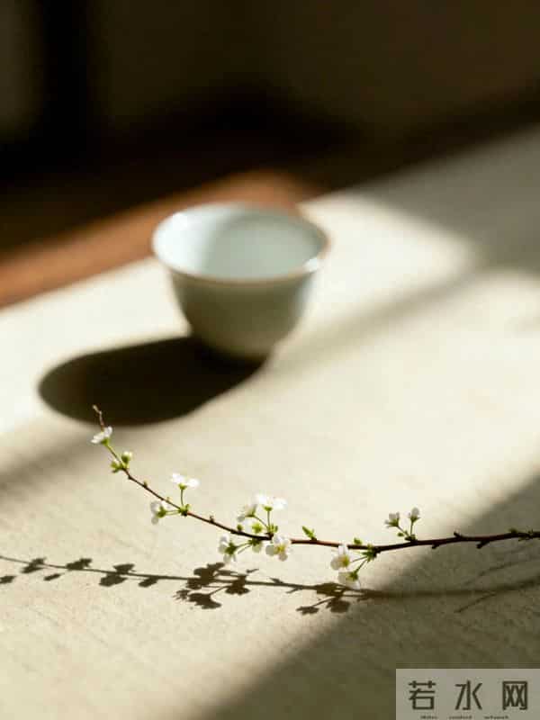 散文|破执见圆,万物自在