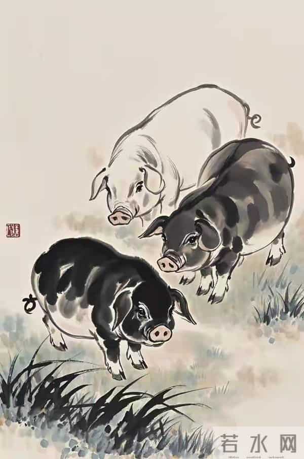 属猪人,2026年别等运气,要拼命!