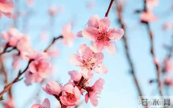 女人对你动情了，会有哪些细微动作？哪怕只触碰一个，她已难自控