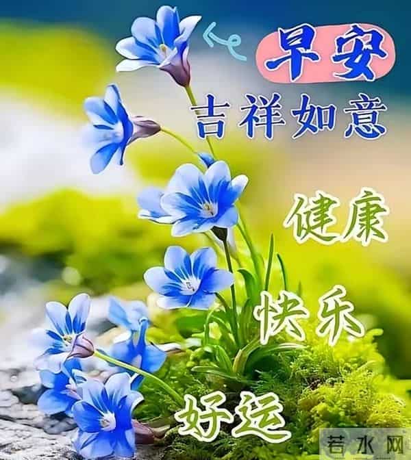 2025年12月11日，星期四，农历十月二十二，早安吉祥祝福语！