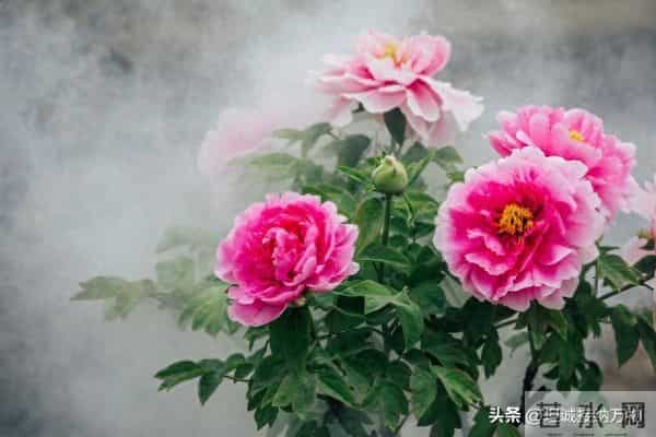 两性关系：两性相处中，最舒适的语句基于尊重、共情和真诚