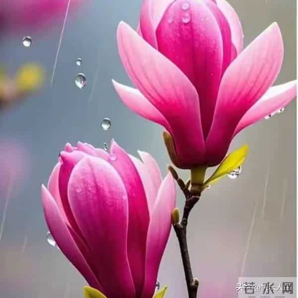 60岁女人让你碰，不是，你别傻了，那不是将就，那是交给你半条命