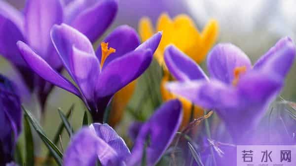 12月11日今日星座，天秤座，会有事发生！