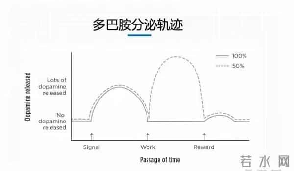 “出轨”，真的只有0次和无数次吗？科学研究已经给出了证明
